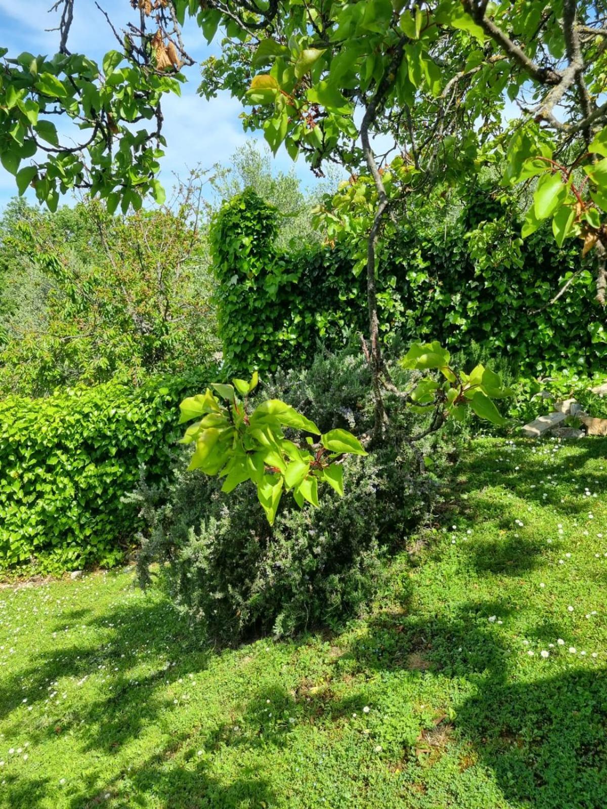 Dimora Nel Chianti Guest House San Sano Ngoại thất bức ảnh