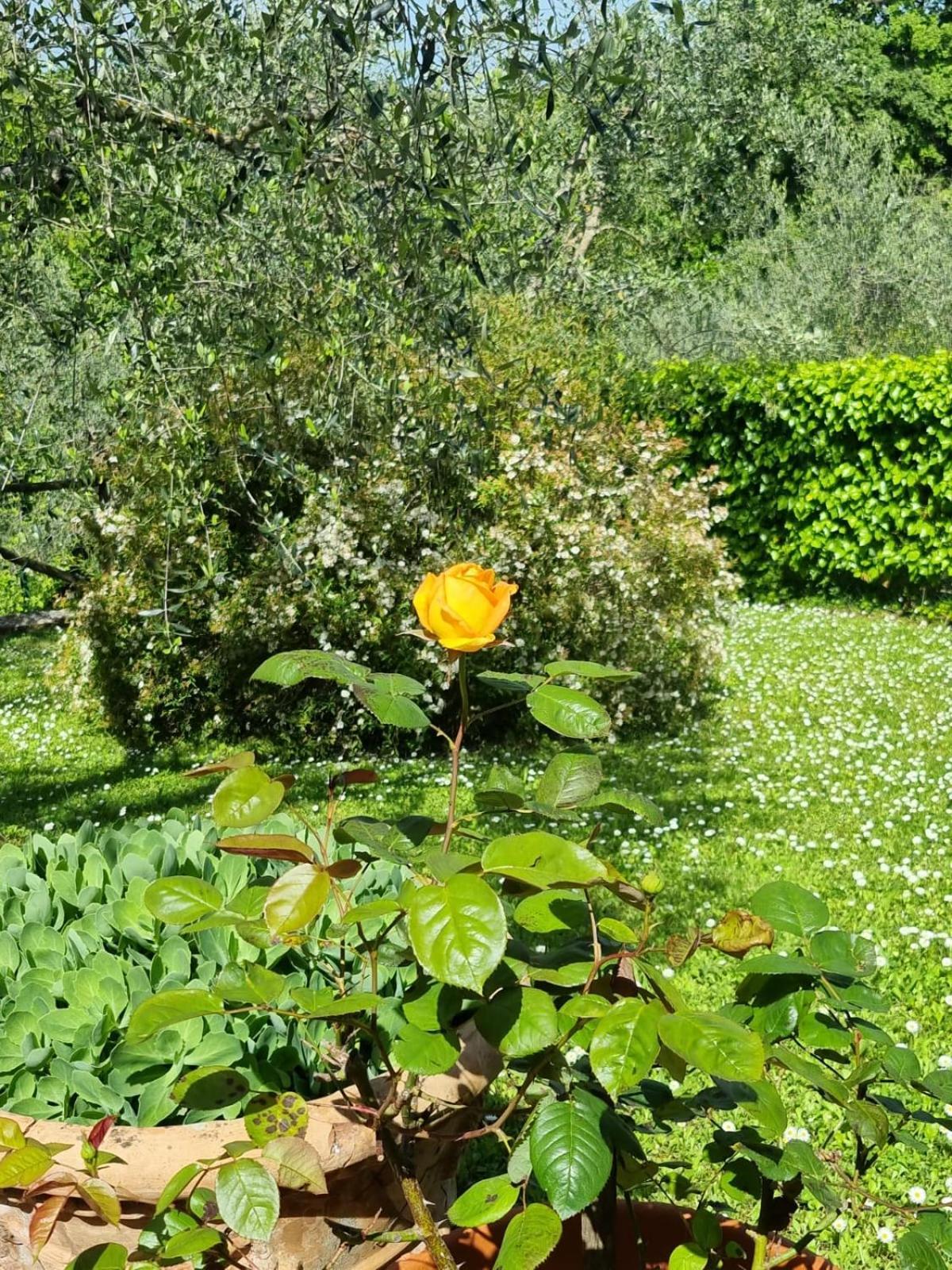 Dimora Nel Chianti Guest House San Sano Ngoại thất bức ảnh
