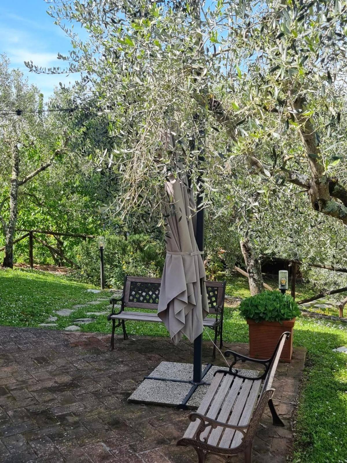 Dimora Nel Chianti Guest House San Sano Ngoại thất bức ảnh