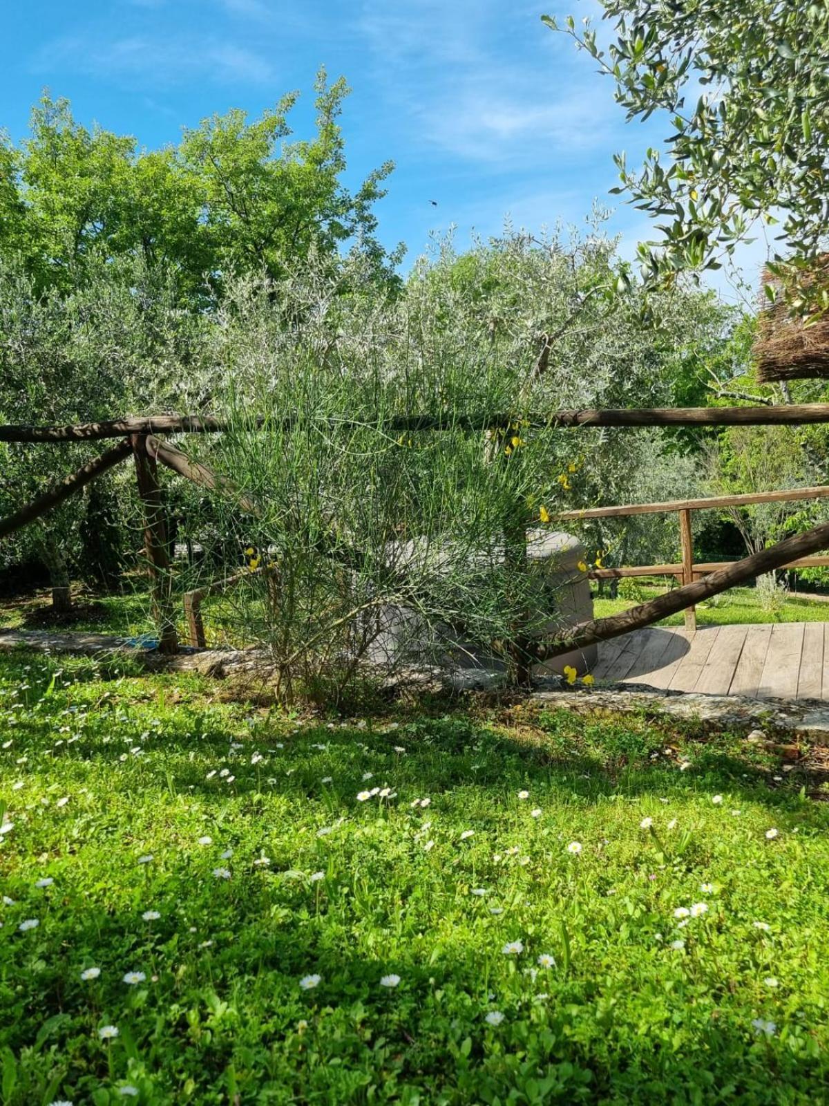 Dimora Nel Chianti Guest House San Sano Ngoại thất bức ảnh